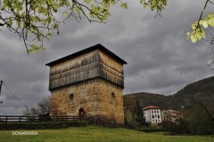 MG_0925